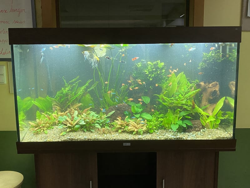 Sfeerbeeld van Pro Aqua