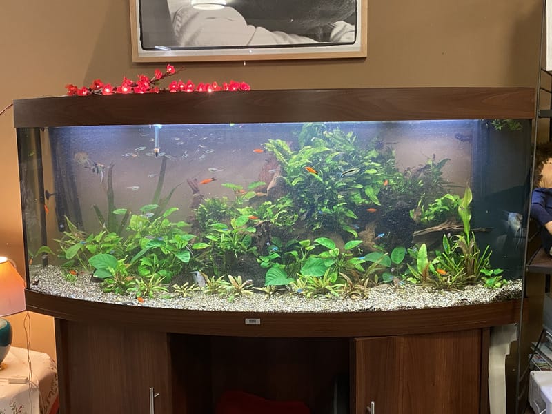 Sfeerbeeld van Pro Aqua