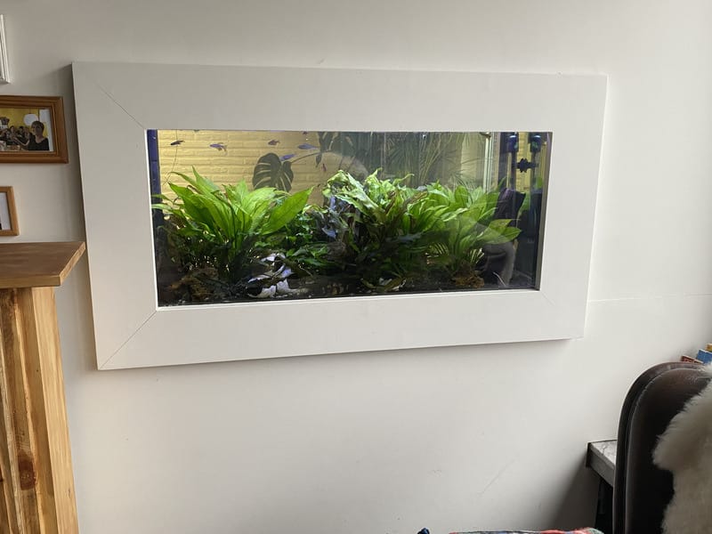 Sfeerbeeld van Pro Aqua