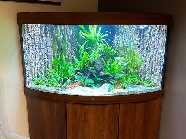 Sfeerbeeld van Pro Aqua