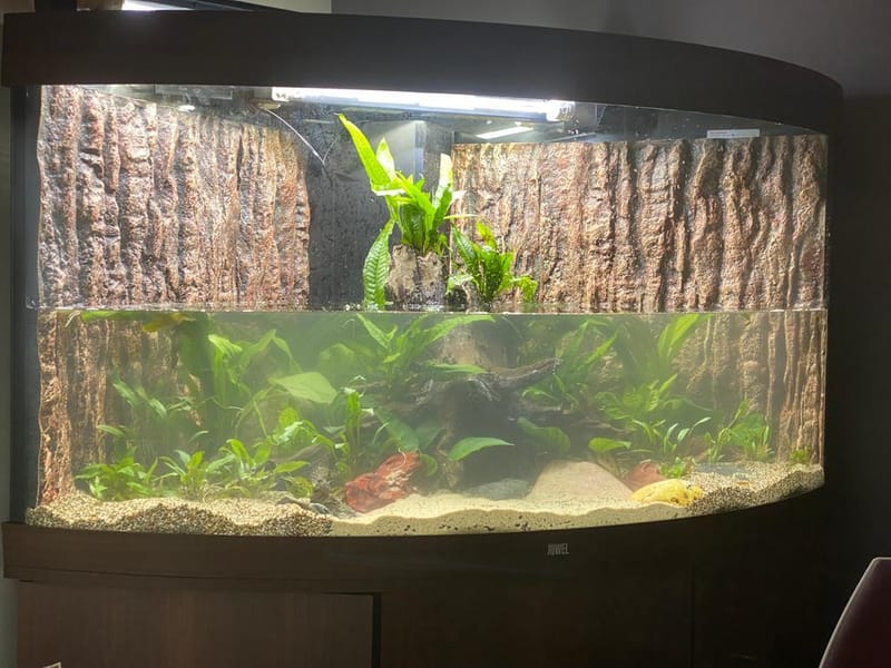 Sfeerbeeld van Pro Aqua