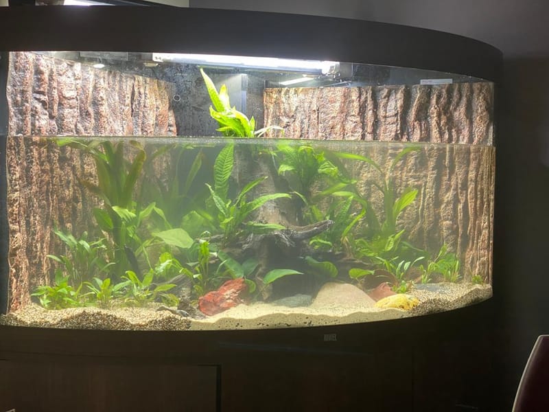 Sfeerbeeld van Pro Aqua